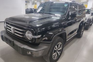 Used Tank 300 2023 City Edition 2.0T—Stylish as Ever