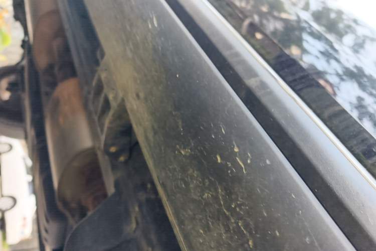 Used Tank 300 2023 City Edition 2.0T—Stylish as Ever Chassis Front Right