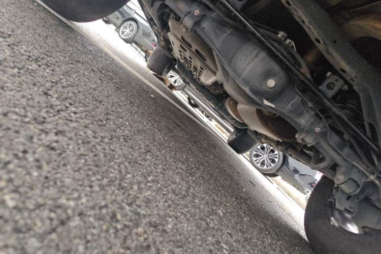 Used Tank 300 2023 Off-Road Edition 2.0T Conqueror Chassis Rear