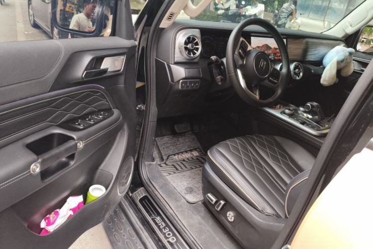 Used Tank 300 2023 Off-Road Edition 2.0T Challenger Driver Seat