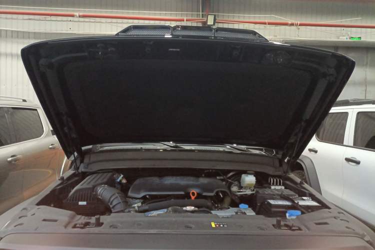 Used Tank 300 2023 2.0T Iron Rider 02 Engine Bay