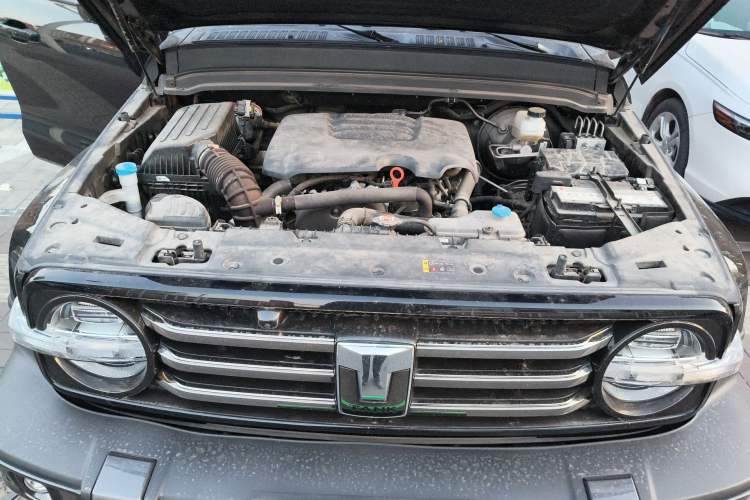 Used Tank 300 2023 City Edition 2.0T—Stylish as Ever Engine Bay