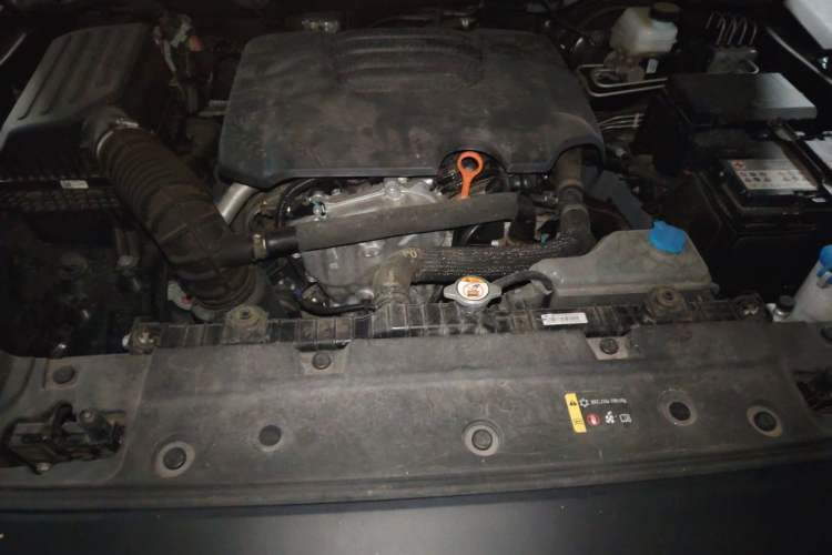 Used Tank 300 2023 2.0T Iron Rider 02 Engine Bay
