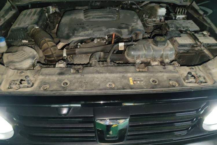 Used Tank 300 2023 Off-Road Edition 2.0T Conqueror Engine Bay