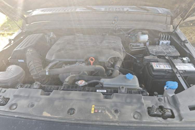 Used Tank 300 2023 2.0T Iron Rider 02 Engine Bay