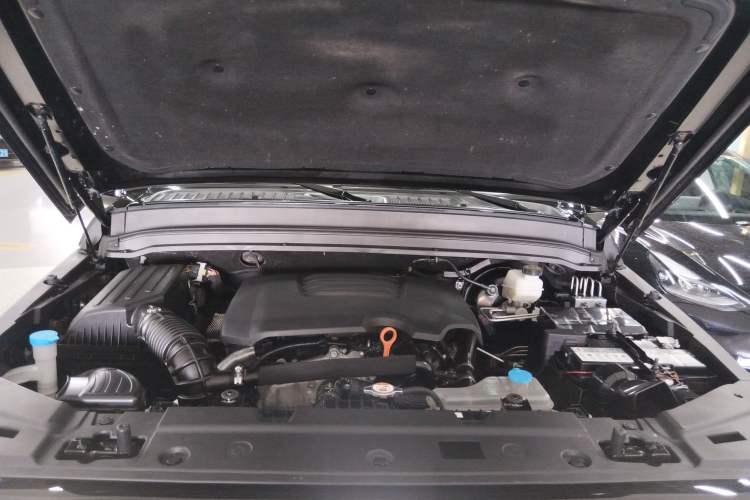 Used Tank 300 2023 Off-Road Edition 2.0T Conqueror Engine Bay