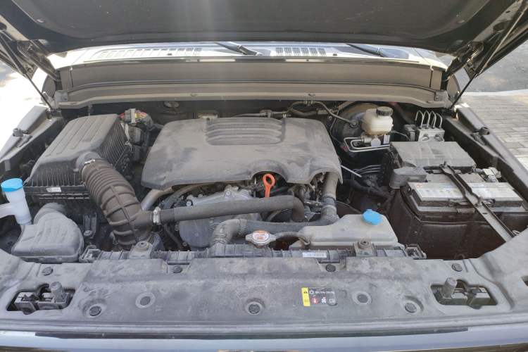 Used Tank 300 2023 Off-Road Edition 2.0T Conqueror Engine Bay