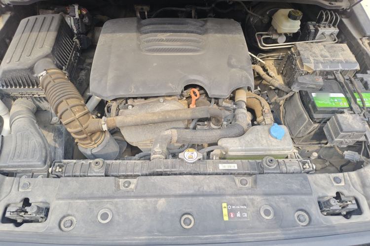 Used Tank 300 2023 City Edition 2.0T—Stylish as Ever Engine Bay