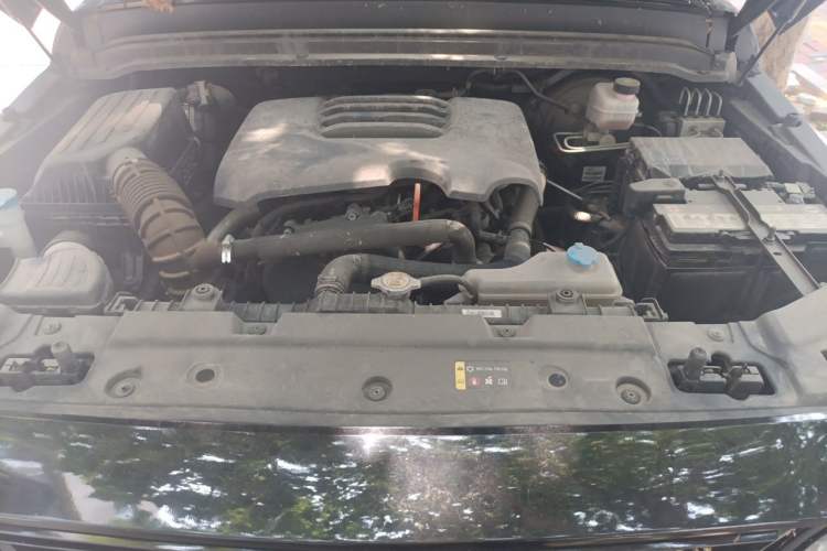Used Tank 300 2023 City Edition 2.0T—Stylish as Ever Engine Bay