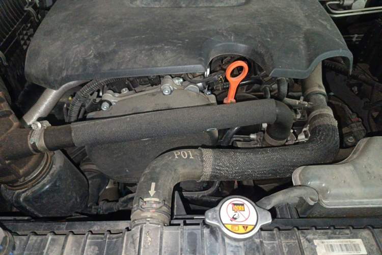 Used Tank 300 2023 City Edition 2.0T—Stylish as Ever Engine Bay