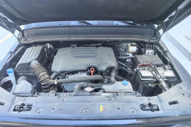 Used Tank 300 2023 Off-Road Edition 2.0T Conqueror Engine Bay