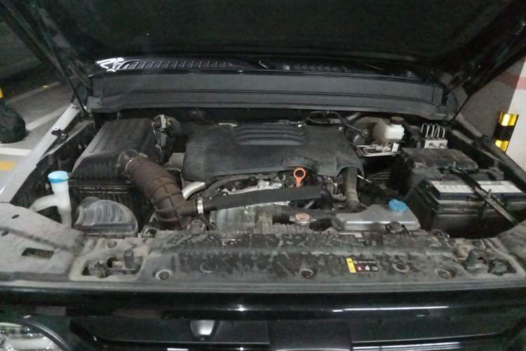 Used Tank 300 2023 Off-Road Edition 2.0T Conqueror Engine Bay