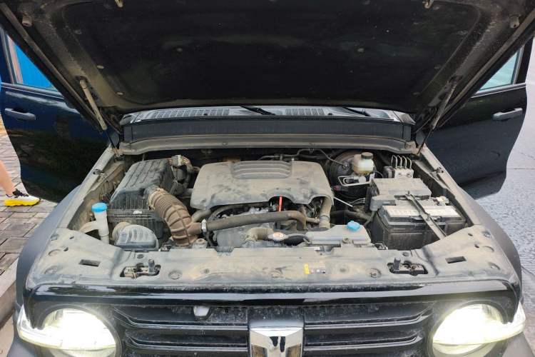 Used Tank 300 2023 Off-Road Edition 2.0T Conqueror Engine Bay