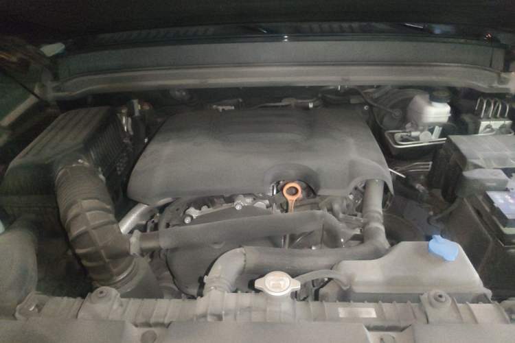 Used Tank 300 2023 City Edition 2.0T—Stylish as Ever Engine Bay