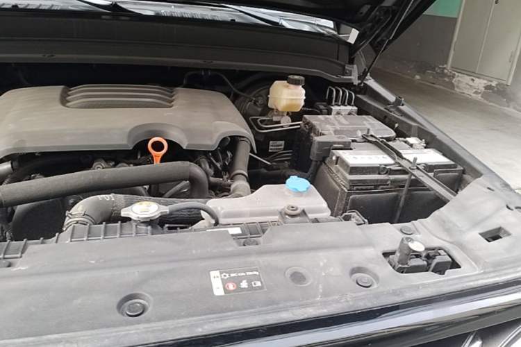 Used Tank 300 2023 City Edition 2.0T—Stylish as Ever Engine Bay Left