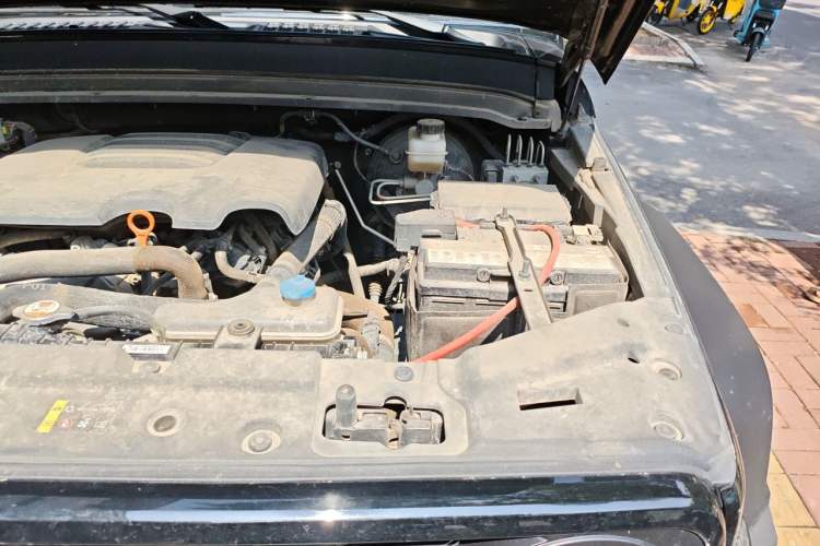 Used Tank 300 2023 Off-Road Edition 2.0T Conqueror Engine Bay Left