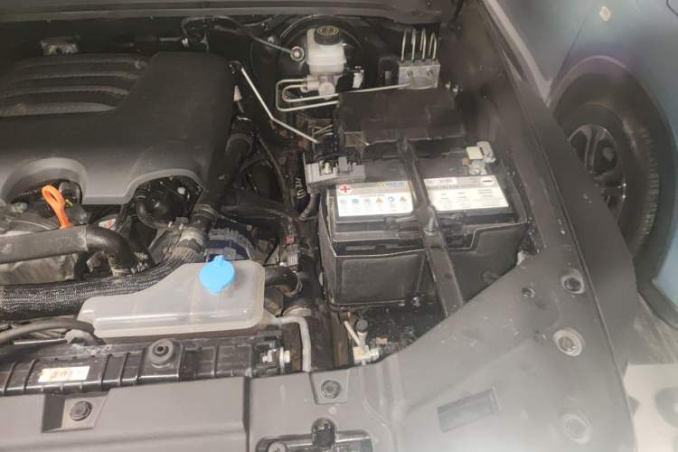 Used Tank 300 2023 Off-Road Edition 2.0T Conqueror Engine Bay Left