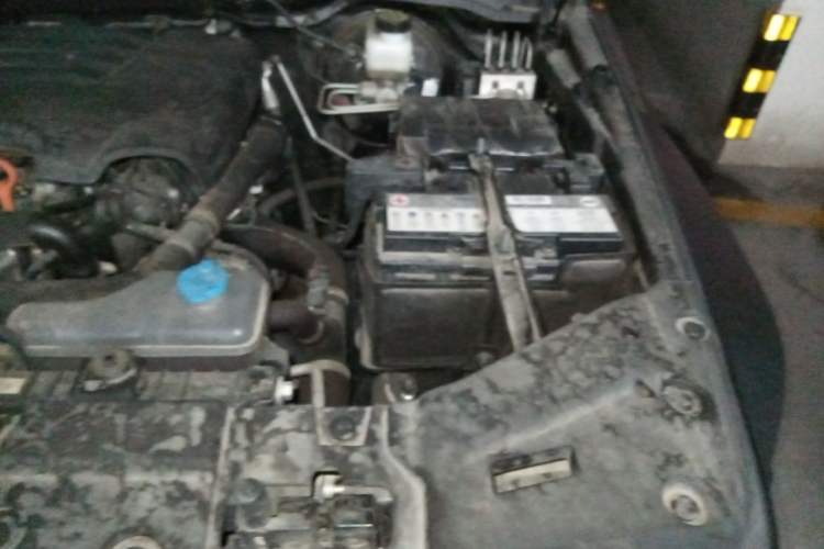 Used Tank 300 2023 Off-Road Edition 2.0T Conqueror Engine Bay Left