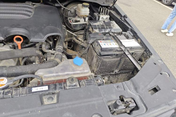 Used Tank 300 2023 Off-Road Edition 2.0T Conqueror Engine Bay Left