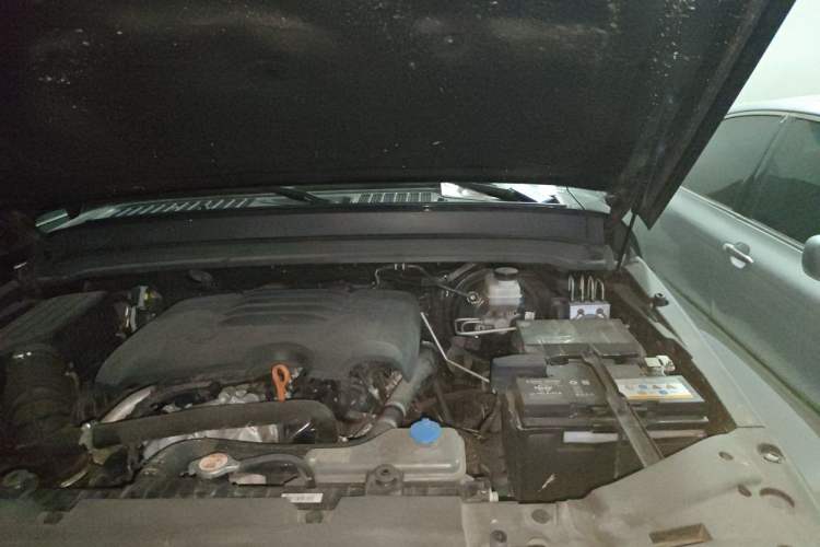 Used Tank 300 2023 Off-Road Edition 2.0T Conqueror Engine Bay Left
