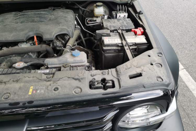 Used Tank 300 2023 Off-Road Edition 2.0T Conqueror Engine Bay Left