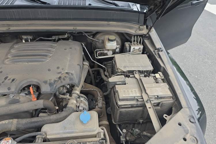 Used Tank 300 2023 City Edition 2.0T My Vision Model Engine Bay Left
