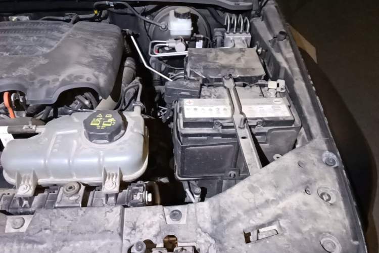 Used Tank 300 2023 Off-Road Edition 2.0T Conqueror Engine Bay Left