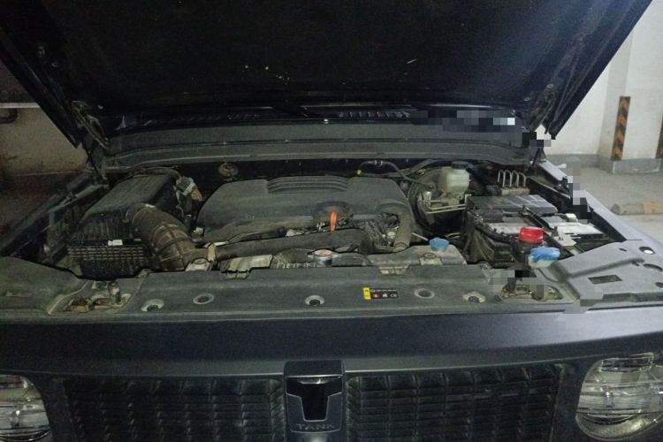 Used Tank 300 2023 2.0T Iron Rider 02 Engine Bay