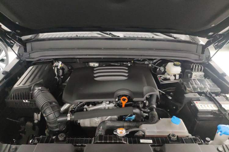 Used Tank 300 2023 2.0T Iron Rider 02 Engine Bay