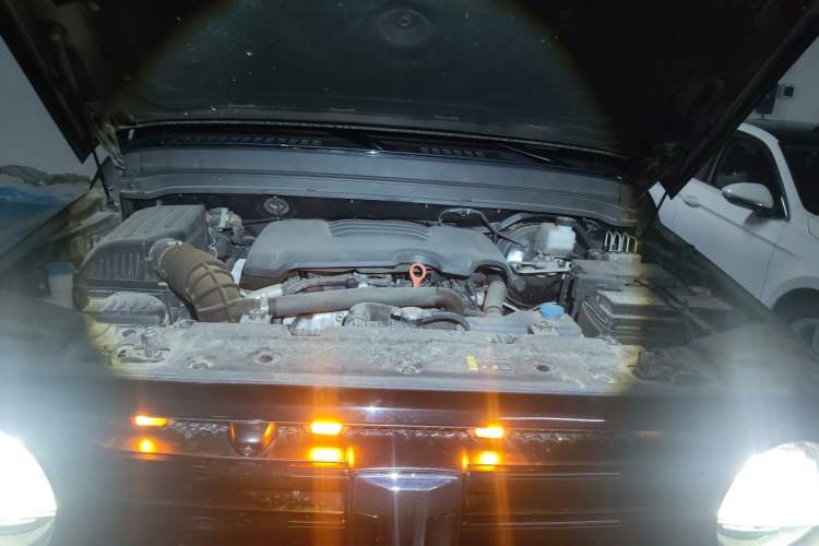 Used Tank 300 2023 Off-Road Edition 2.0T Conqueror Engine Bay