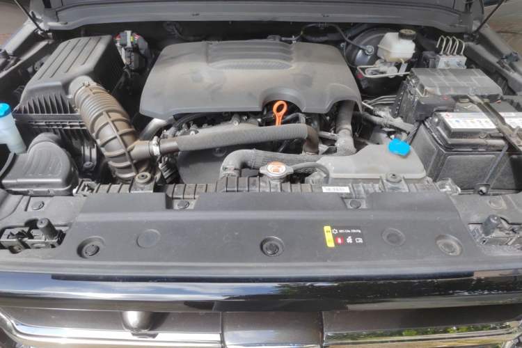 Used Tank 300 2023 City Edition 2.0T—Stylish as Ever Engine Bay