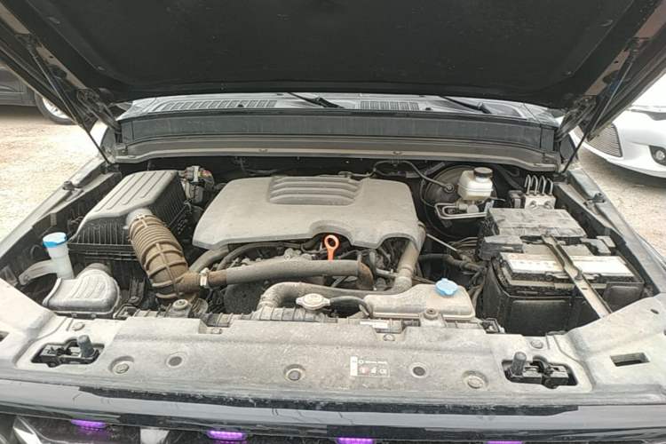 Used Tank 300 2023 City Edition 2.0T—Stylish as Ever Engine Bay