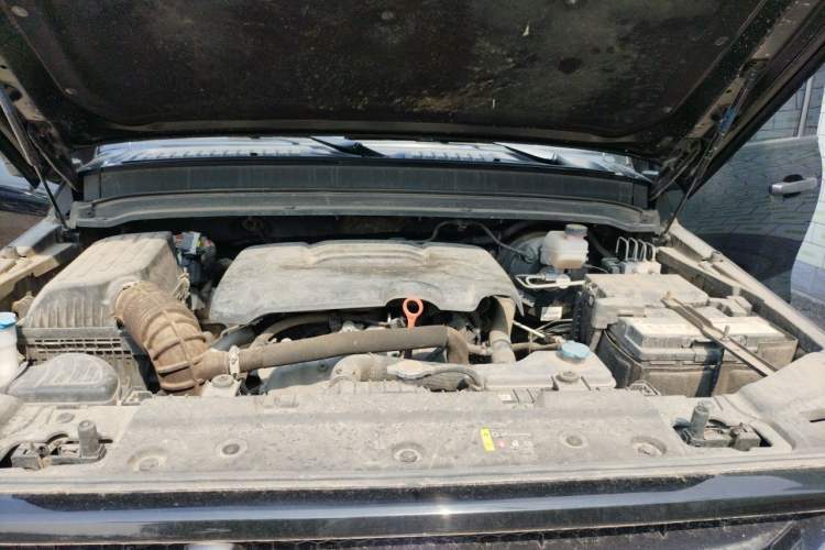 Used Tank 300 2023 Off-Road Edition 2.0T Conqueror Engine Bay