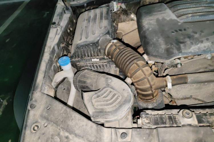 Used Tank 300 2023 Off-Road Edition 2.0T Conqueror Engine Bay Right