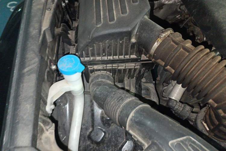 Used Tank 300 2023 City Edition 2.0T—Stylish as Ever Engine Bay Right