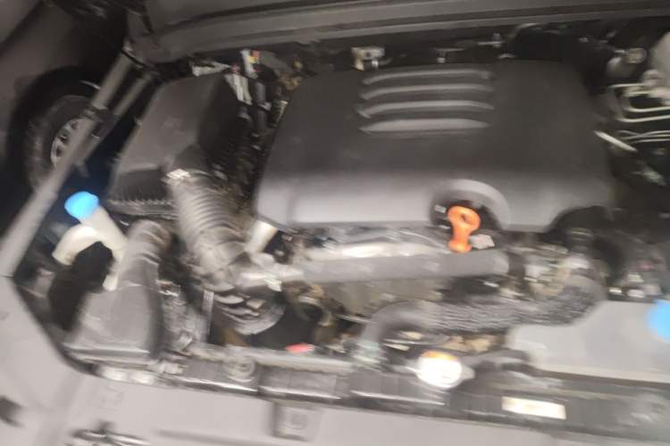 Used Tank 300 2023 Off-Road Edition 2.0T Conqueror Engine Bay Right