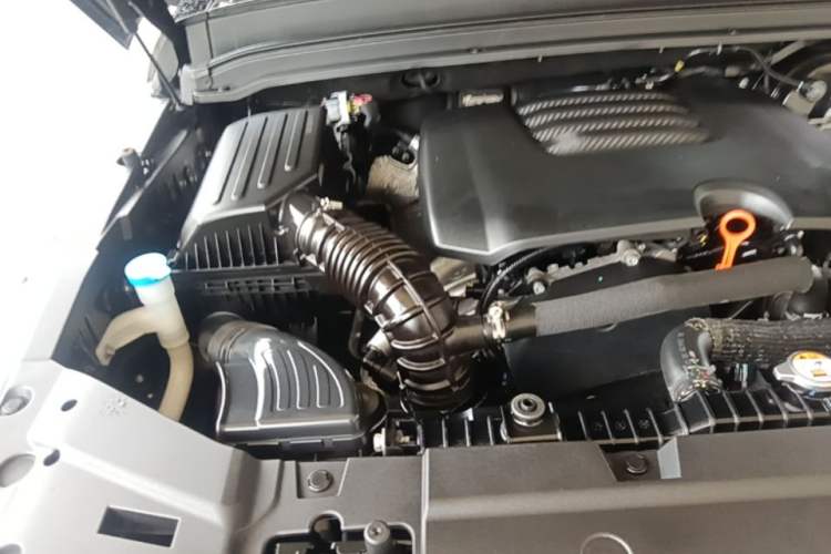 Used Tank 300 2023 City Edition 2.0T—Stylish as Ever Engine Bay Right