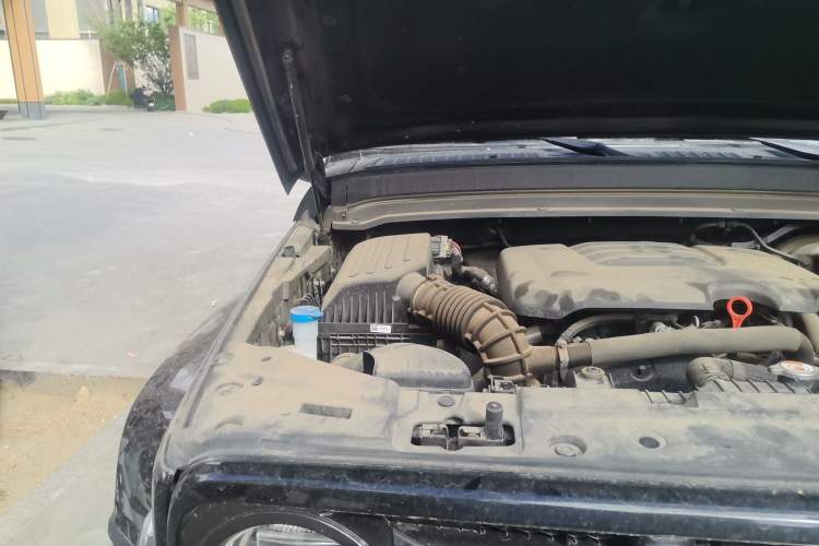 Used Tank 300 2023 City Edition 2.0T—Stylish as Ever Engine Bay Right