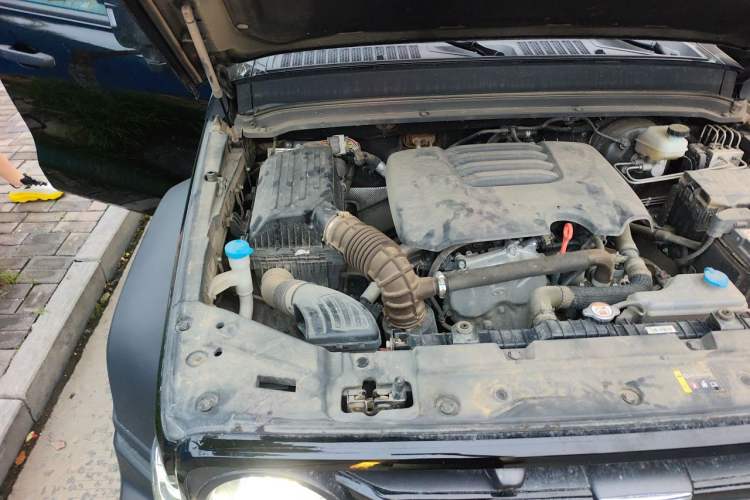 Used Tank 300 2023 Off-Road Edition 2.0T Conqueror Engine Bay Right