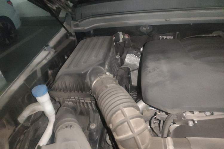 Used Tank 300 2023 City Edition 2.0T—Stylish as Ever Engine Bay Right
