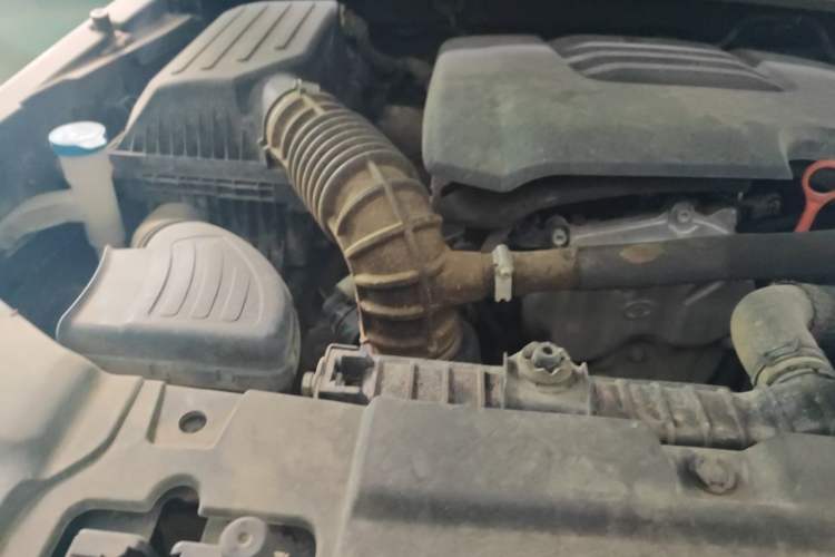 Used Tank 300 2023 Off-Road Edition 2.0T Conqueror Engine Bay Right