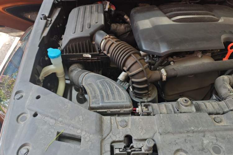 Used Tank 300 2023 City Edition 2.0T—Stylish as Ever Engine Bay Right