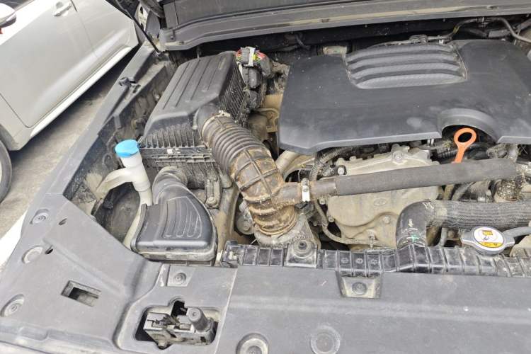 Used Tank 300 2023 Off-Road Edition 2.0T Conqueror Engine Bay Right