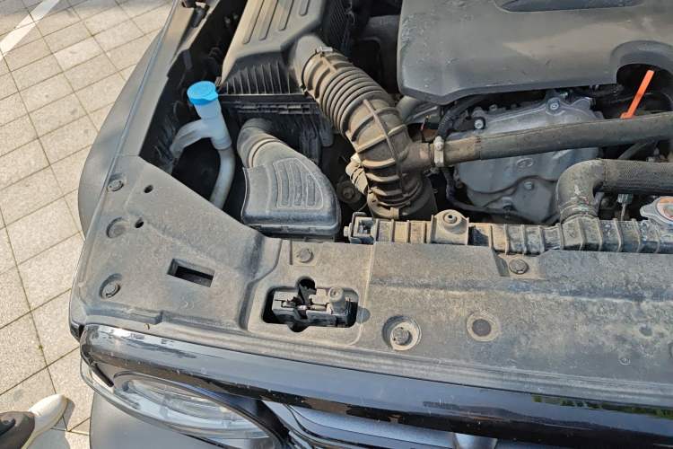 Used Tank 300 2023 Off-Road Edition 2.0T Conqueror Engine Bay Right