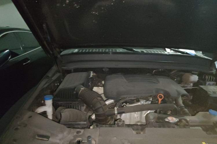 Used Tank 300 2023 Off-Road Edition 2.0T Conqueror Engine Bay Right
