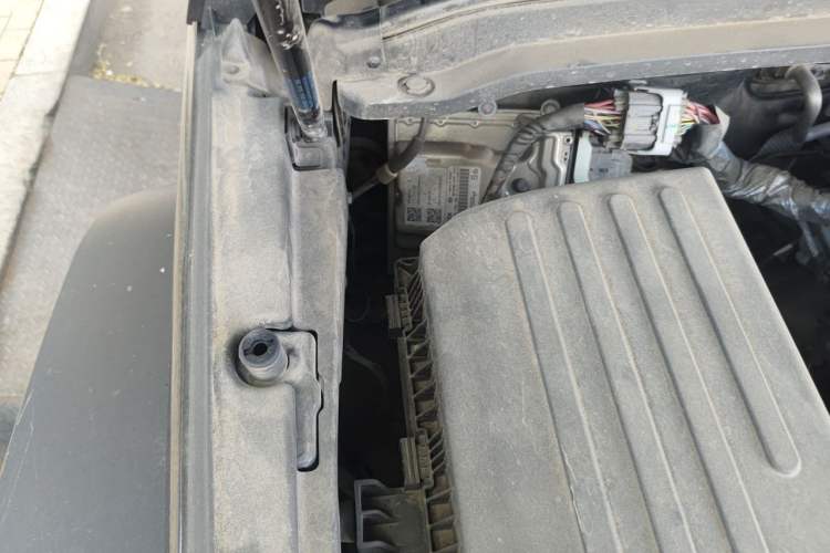 Used Tank 300 2023 Off-Road Edition 2.0T Conqueror Engine Bay Right