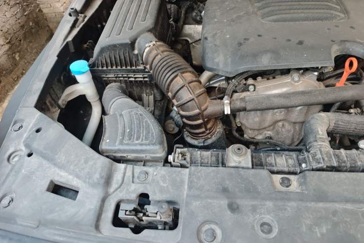 Used Tank 300 2023 Off-Road Edition 2.0T Conqueror Engine Bay Right