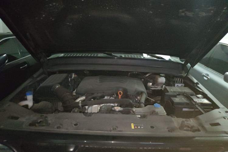 Used Tank 300 2023 Off-Road Edition 2.0T Conqueror Engine Bay