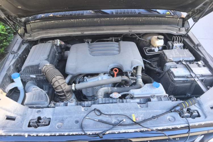 Used Tank 300 2023 Off-Road Edition 2.0T Conqueror Engine Bay