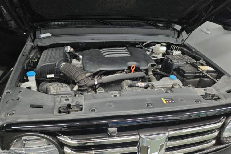 Used Tank 300 2023 City Edition 2.0T—Stylish as Ever Engine Bay